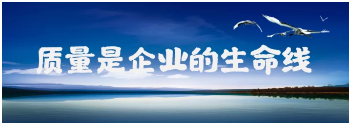 15672169226308.png 4.png